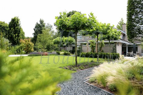 Sfeertuin van de carport in Harderwijk 