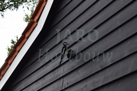  Detail bekleding van de recreatiewoning in Schipborg 