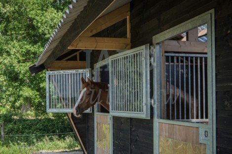 Maatwerk paardenstal met paard in Nijbroek