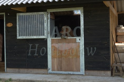 Paardenstal met pony in Nijbroek